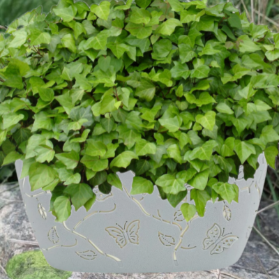 LF101510048 Цветочный горшок, кашпо Butterflies 4 л 300х150 мм, овальный, песочно-белый, PLASTIC REPUBLIC
